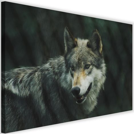 Cadre déco Loup Nature Animaux 60x40 (1/5)