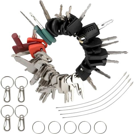 42 Pièces Clef Passe Partout avec Porte Clés et Anneaux en Câble (1/5)