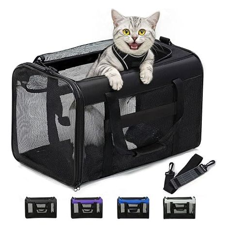 Cat Carrier Bag Black Soft frame with mesh on 4 sides for large cats and small dogs (1/5)