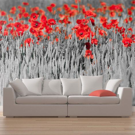 Papier Peint "Coquelicots Rouge sur Champ Noir & Blanc" 270x450cm (1/2)