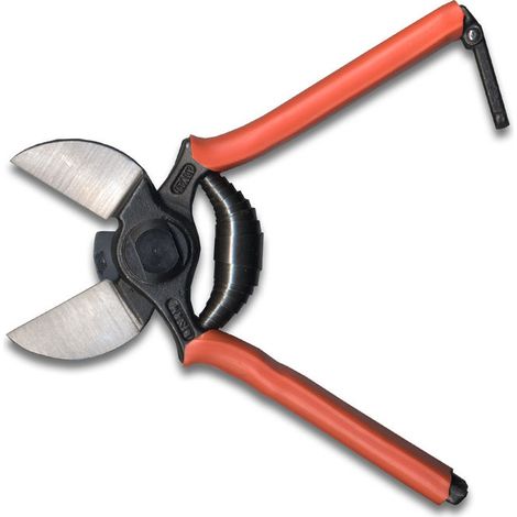 Lisam Forbice Vigna 19cm 1B