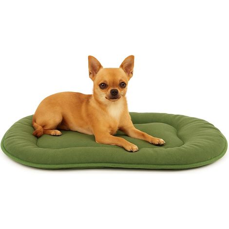 1 - Coussin Chien - Coussin Chat - Forme Ovale Et Tissu Respirant Pour Intérieur Et Extérieur Vert 45x33x3cm (1/5)