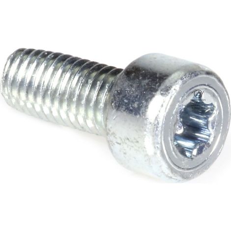 Vis Torx 27 M5 x 12 pour tronçonneuse Stihl 046 MS460