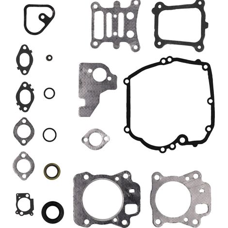 Gaskets, shims and paper gaskets for Briggs & Stratton engines 592173, 799495 and 796661 (1/5)
