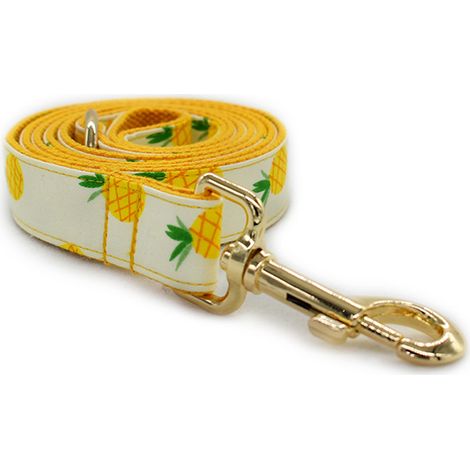 Collier Pour Chat Et Chien Avec Clochette - Boucle De Sécurité - Design Fait Main - Taille Standard - 1 Pièce (1/5)
