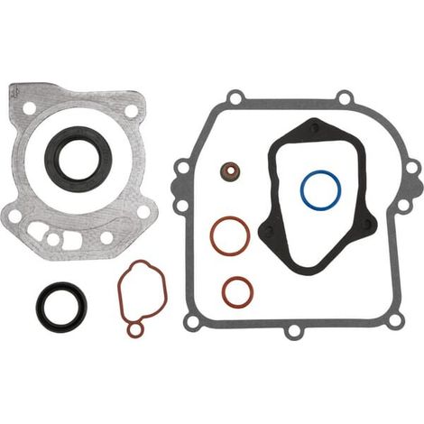 Set guarnizioni motore BRIGGS ET STRATTON 84006591