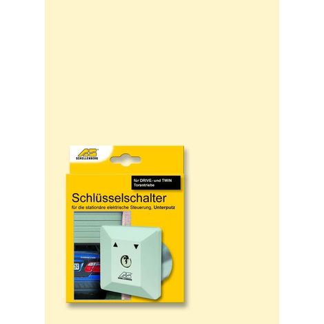 Schellenberg Interrupteur à Clé Encadré Sécurisé Noir 3 Clés (1/2)