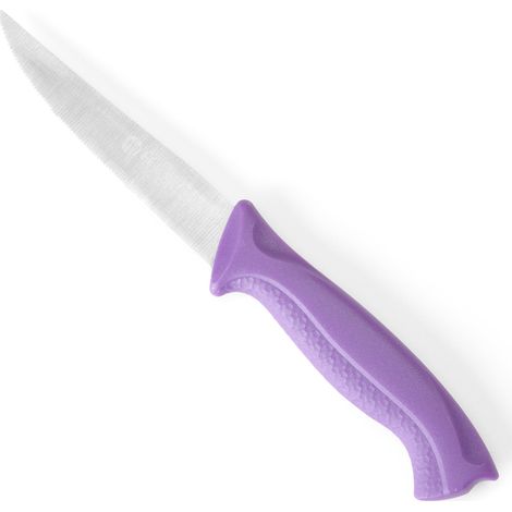 Couteau universel dentelé L 205 mm - Hendi