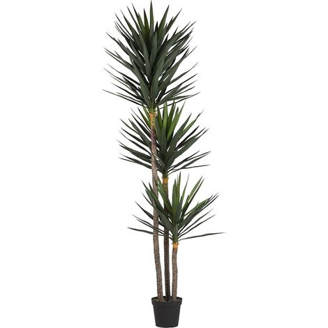 Yucca-Pflanze mit Topf 70X70X250 cm (1/5)