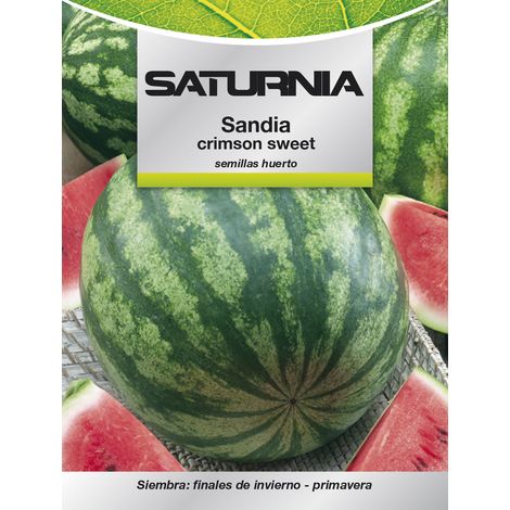 Graines saturnia watermelon 80-120 jours profondeur 3 cm (1/2)