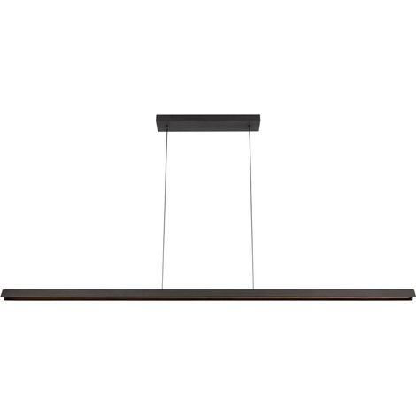 Lampe pendante de conception Felsted noir 180cm - 01403/28/70 (1/3)