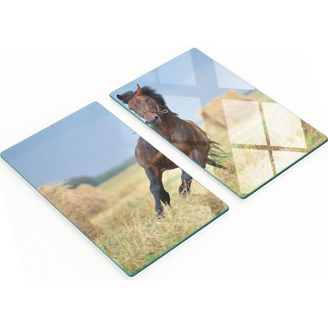Tablas decorativas de cristal para cortar y servir con dise帽o de caballo al galope, 2x30x52 cm.