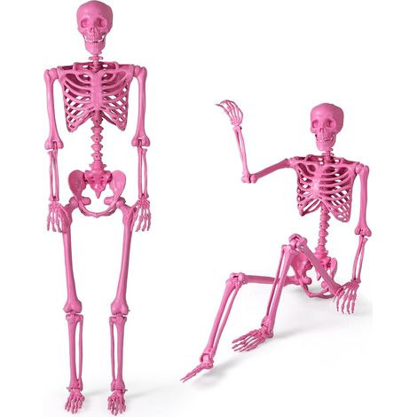 COSTWAY Scheletro di Halloween 160 cm, Scheletro Umano a Grandezza Naturale con Giuntura Mobile, Halloween Decorazione da Interno ed Esterno, per Giardino, Feste di Cimitero e Casa Infestata