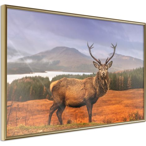 Affiche Murale Encadrée "Majestic Deer" 45 x 30 cm Or