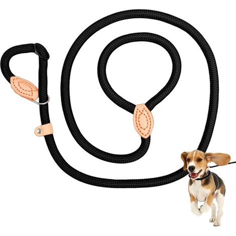 Laisse Retriever - 150 cm - Nylon Tressé 6 mm - Pour Chiens Petite et Moyenne Taille - 1 Pièce (1/5)