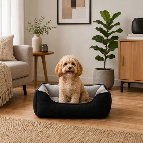 belviona Hundebett, wendbares Hundekörbchen mit 2-in-1 Funktion, weich gepolstert & pflegeleicht, 60x50 cm, schwarz/grau (1/5)