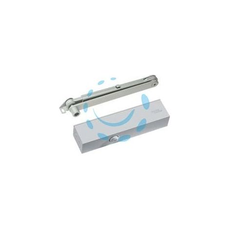 CHIUDIPORTA AEREO SERIE TS83BCA - argento (38010101+22003001)