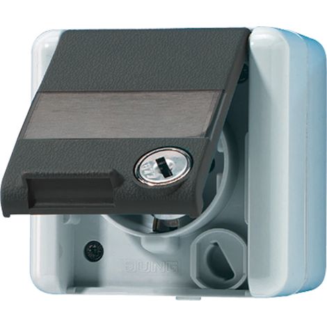 Jung Presa SCHUKO®, 16 A 250 V , con campo di scrittura, con serratura di sicurezza, verticale, IP 44, WG 800, anthrazit 820 NAWSL