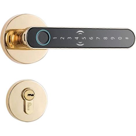 Intelligentes Türschloss mit geteiltem Hebel, schlüssellos, Bluetooth, Fingerabdruck, Karte, Tuya-App, Sicherheit, digitales Schloss, Gold (1/5)