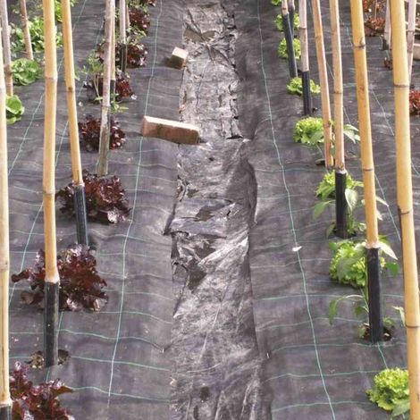 TELO PER PACCIAMATURA H. cm 210 x 100 mt - verde (1/3)