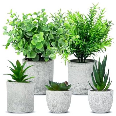 5 PCS Plantes Artificielle, Mini Plantes artificielles avec des Pots,Interieur Serpentine,Agave succulentes,Griffe d'aigle Aloe Vera,pour la décoration de Table, Balcon et Bureau (1/5)