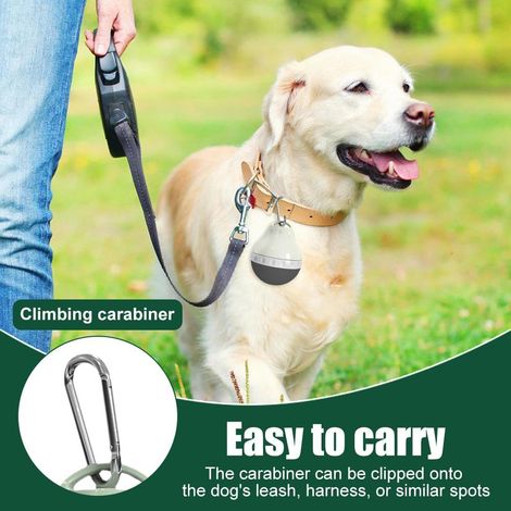 Bouteille d'eau pour chien JeiibrZui en acier inoxydable - 750 ml - Distributeur d'eau 1 pièce avec gamelle intégrée - Argent (1/5)