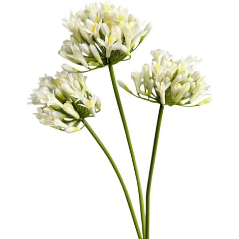 Lot de 3 grandes agapanthes africains artificielles à longue tige pour grand vase, plantes en soie pour décoration d'intérieur, bouquet de mariage, bureau, décoration de fête (blanc, 66 cm) (1/5)
