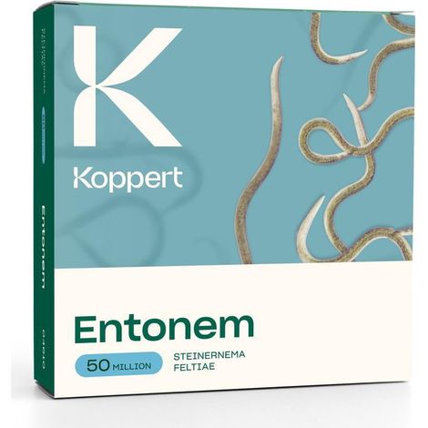 Entonem Koppert - 50 milioni - Steinernema feltiae (1/3)