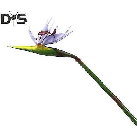 Fleur artificielle réaliste en forme d'oiseau de paradis, inaltérable et facile d'entretien, pour la décoration intérieure.violet (1/5)
