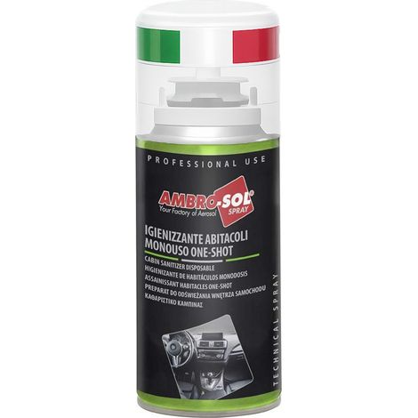 1 X 150ML One Shot Spray - Igienizzante Climatizzatore e Abitacolo Auto Monodose, Spray Pulizia Condizionatore ad Azione Purificante - Ideale per Rimuovere Germi e Batteri - Made in Italy