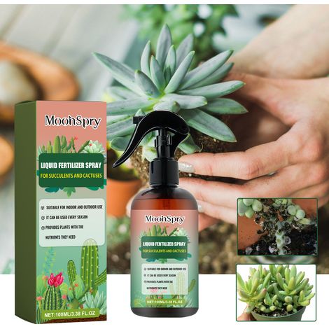 Engrais pour cactus et plantes succulentes, spray nutritif pour plantes vertes, succulentes et cactus – 100 ml (1/5)
