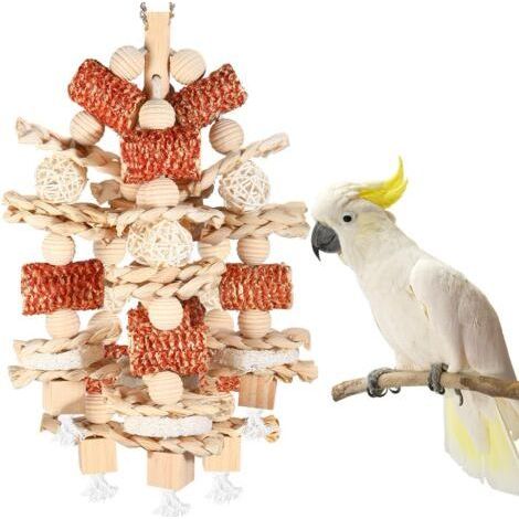 Épi de maïs naturel et luffa tranches de tranches d'oiseau, jouets à mâcher pour perroquets gris africains, ara, cacatoès, amazons et autres perroquets moyens (1/5)