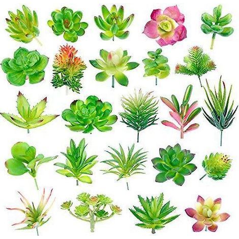 24 Pack plantes succulentes artificielles jardin miniature faux cactus floral bricolage maison fausses succulentes fausses plantes fausses succulentes (1/3)