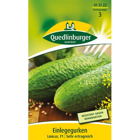 Quedlinburger Saatgut – Cornichon Libelle F1 – Graines de légumes, hybride pour culture en plein air, pour env. 3 mètres linéaires (1/2)