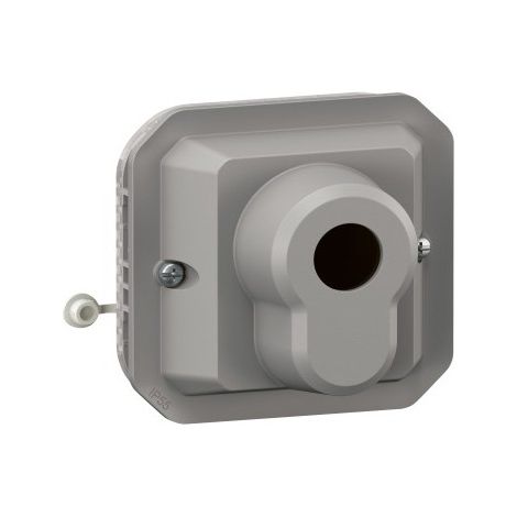 Legrand 069706L Schlüsselschalter mit Sicherheitszugang, 2 Positionen, Plexo, modular, grau