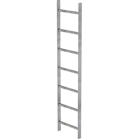 Günzburger Steigtechnik Echelle pour puits acier galvanisé à chaud 400 mm de largeur intérieure 7 échelons - 061007 (1/3)