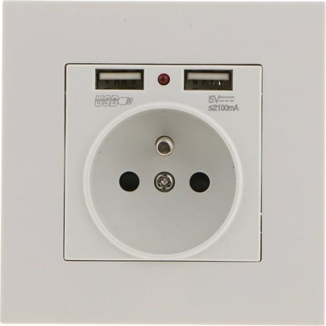 Prise Murale, Prise Electrique Murale avec Double USB 5V/2100mA, Prise Encastrable avec 2 Ports de USB Pratique et Manialble-LIAIKI (1/5)