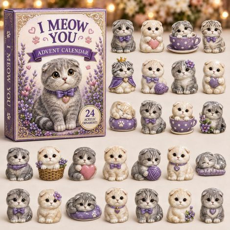 Bébé scottish fold calendrier avent 2026 2D boîte surprise