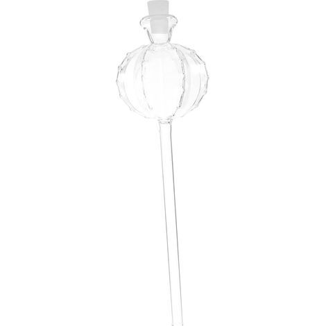 Lot de 4 globes d'arrosage Globes d'arrosage automatique en forme de cactus, transparent, taille moyenne Idée cadeau pour les amoureux des plantes (1/5)