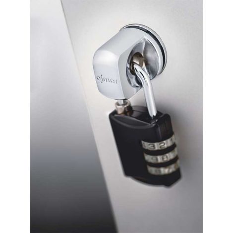 Serrure de casier cadenassable – Sens gauche – Résistante à l'humidité et à la corrosion – Pour cadenas Ø8 maxi – Ojmar (1/5)