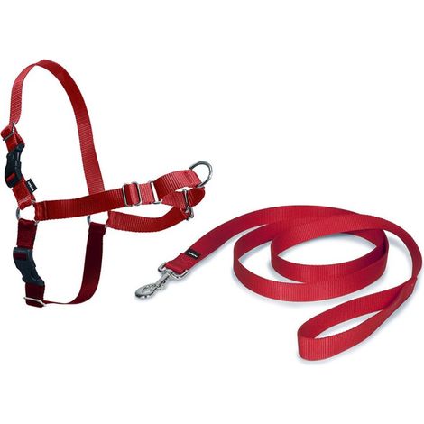 ARNES PERRO EASY WALK ROJO - Talla L (1/3)
