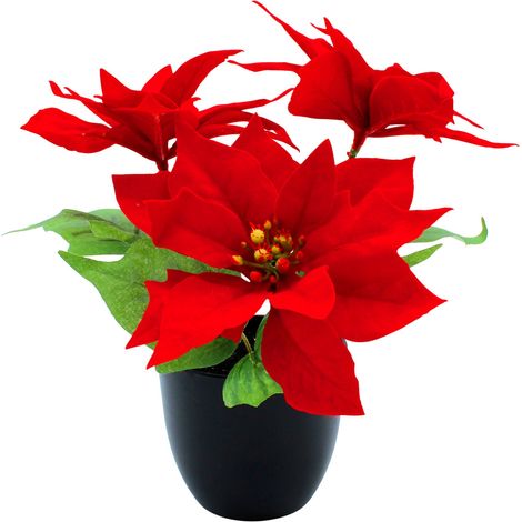 Künstlicher Weihnachtsstern im schwarzen Topf - 27 cm - Kunstblume Poinsettie in naturgetreuer Nachbildung