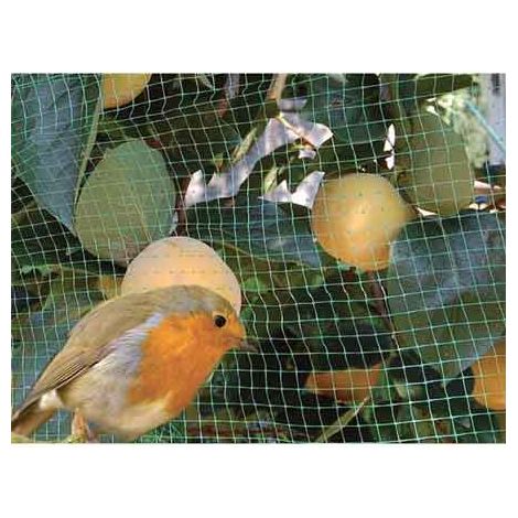 RETE ANTIUCCELLI IDEAL STAR 2x5 mt - colore verde - IDEAL STAR