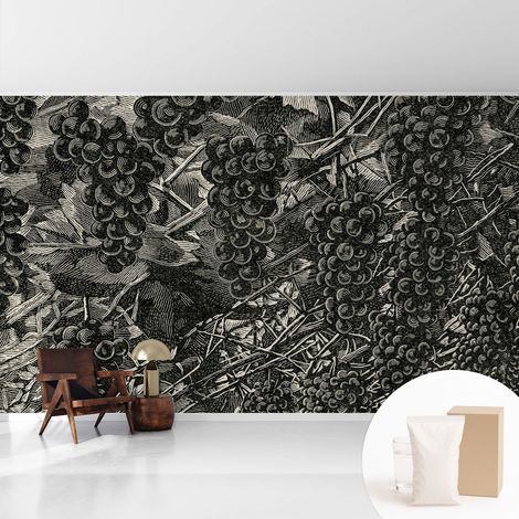 Tapete Vliestapete mit Kleber - Fototapete mit Motiv - Wandtapete modern - Wandgestaltung Traubenmuster 416x254 cm (1/5)