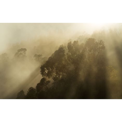 Papier peint panoramique naturel Montagne Brumeuse (1/4)