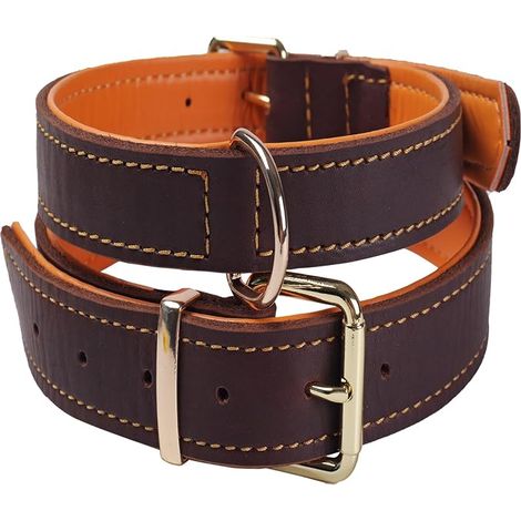 Collier Chien Cuir Rembourré Réglable Robuste M (1/4)
