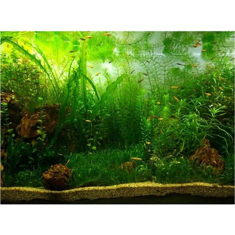 Aquarium-Hintergrundposter im Wassergras-Stil, PVC-Klebepapier (12250 cm) (1/5)