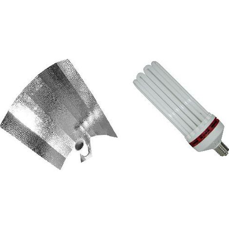KIT lampe CFL 300W FLORAISON 1