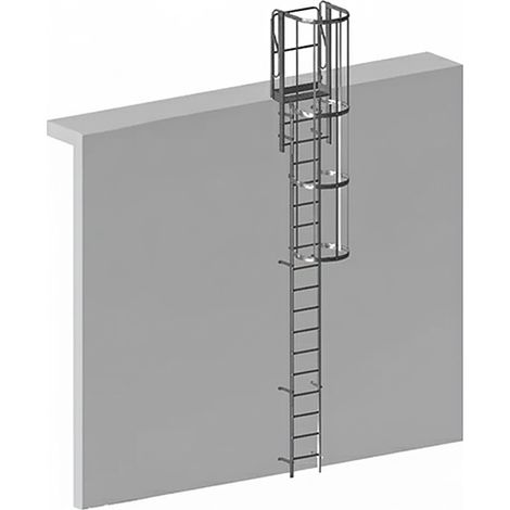 Echelle à crinoline acier galvanisé - Hauteur à franchir 2.61 à 3.70m - CRINO-SF-AG-3