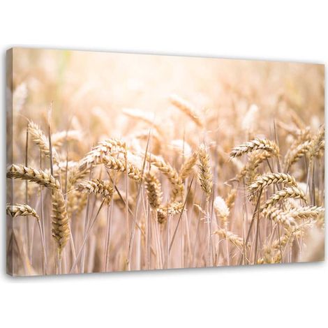Tableau sur toile Champ de céréales Épis de blé Nature 100x70